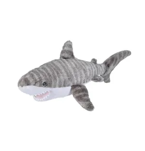 Mini Tiger Shark